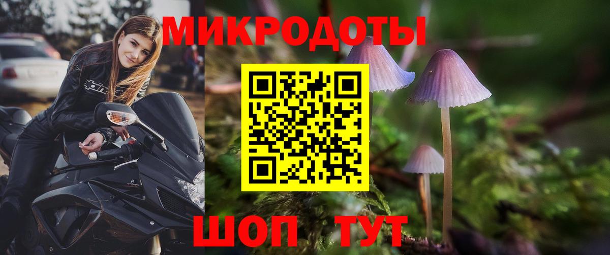 Галлюциногенные грибы Cubensis  Вход с VPN  Архангельск 